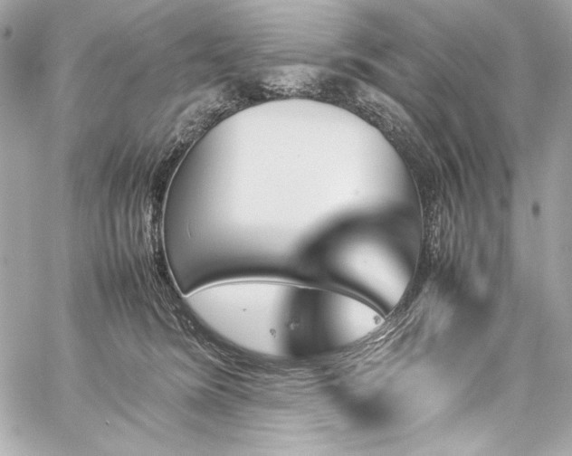 X0000060250420200510281149