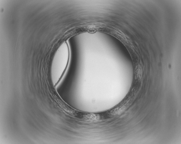 X0000060250421200510281149