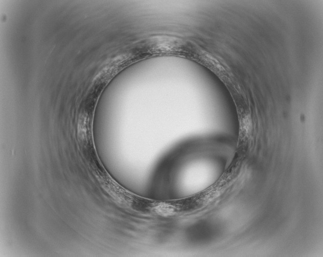 X0000060250423200510281149