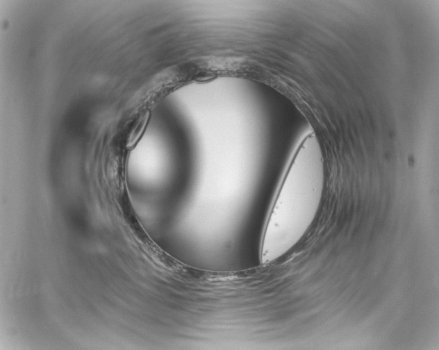 X0000060250428200510281149