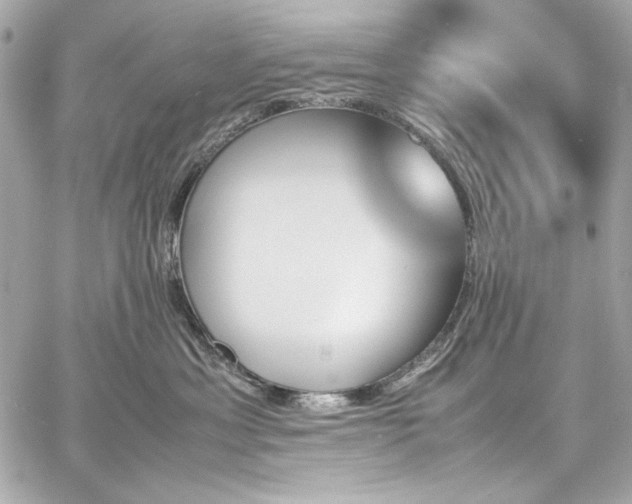 X0000060250429200510281149