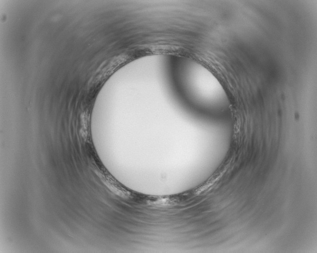 X0000060250430200510281149