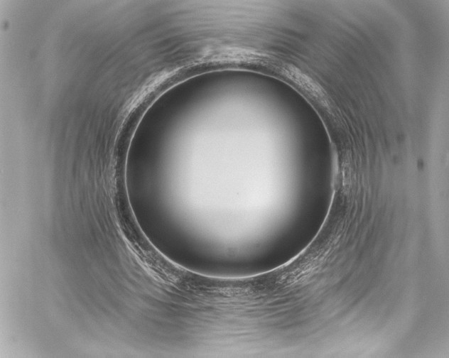 X0000060250436200510281148
