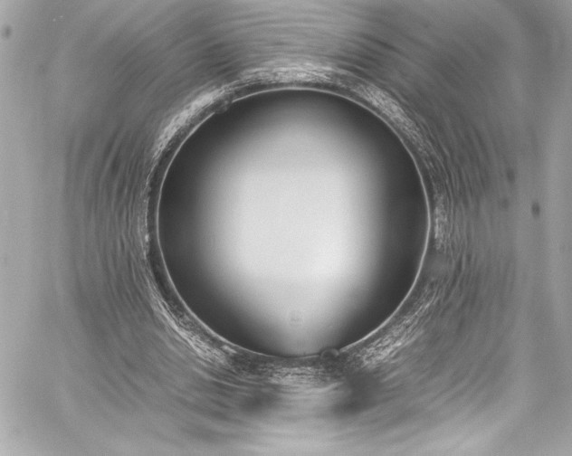 X0000060250438200510281148