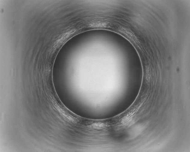 X0000060250441200510281148