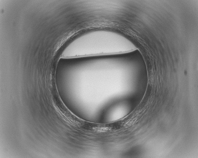 X0000060250448200510281148