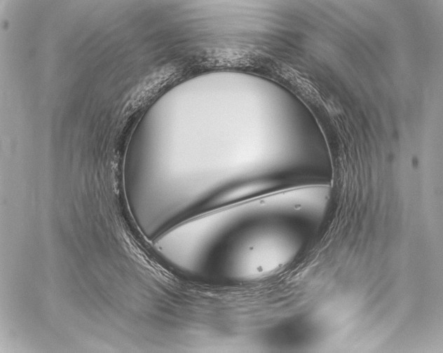 X0000060250450200510281148