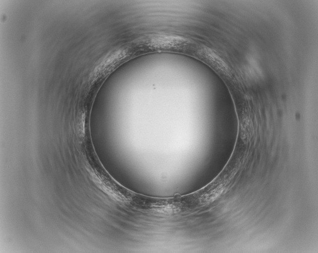 X0000060250454200510281148