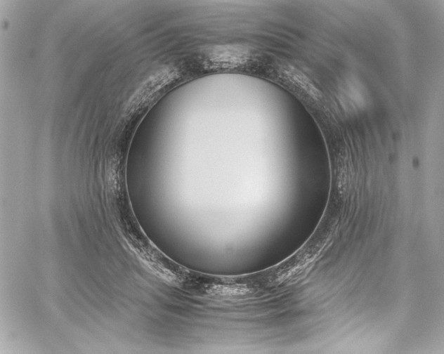 X0000060250455200510281148