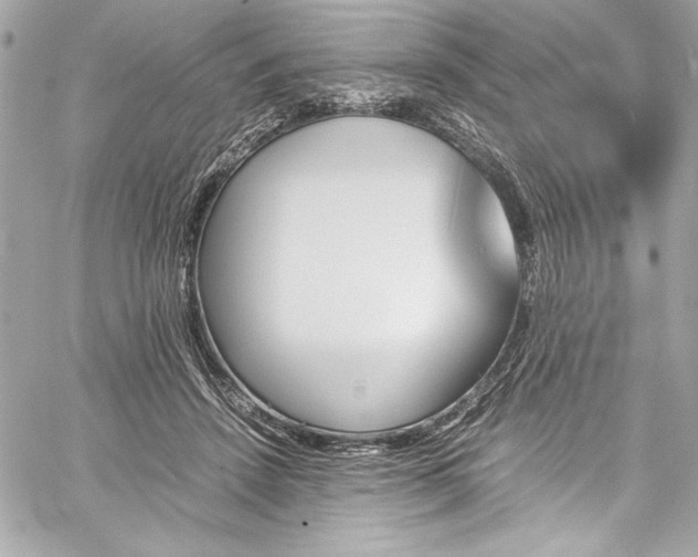 X0000060250456200510281149