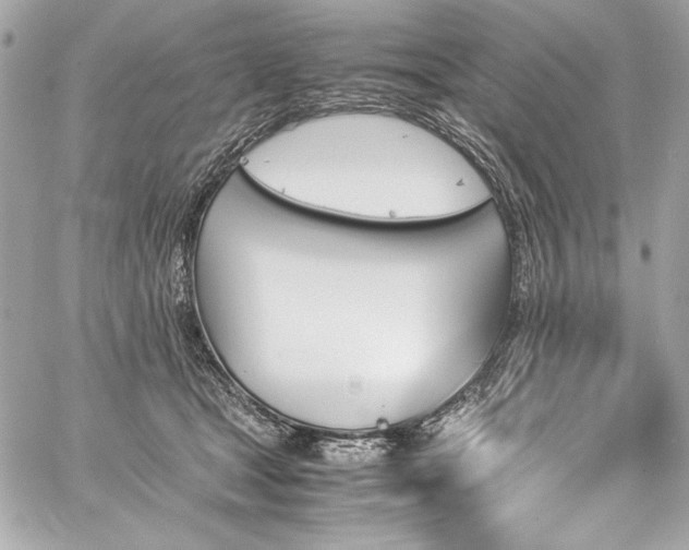 X0000060250465200510281149