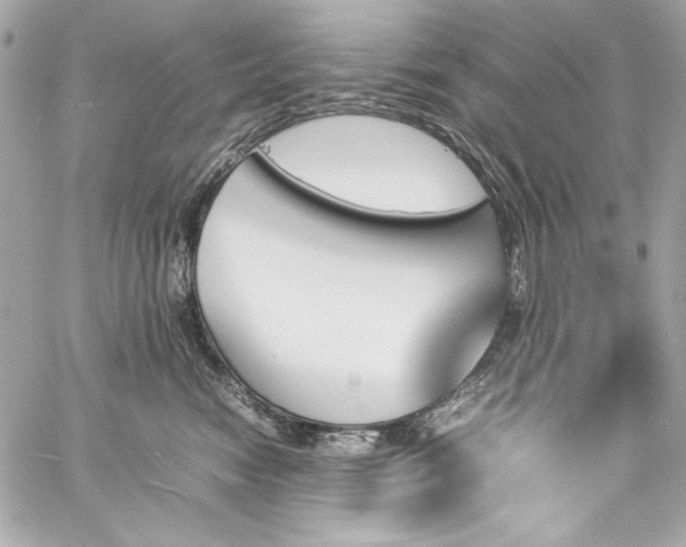 X0000060250474200510281149