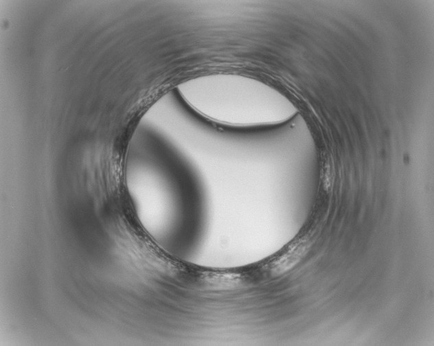 X0000060250476200510281149