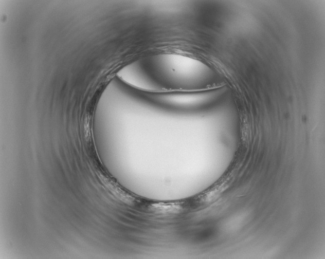 X0000060250477200510281149