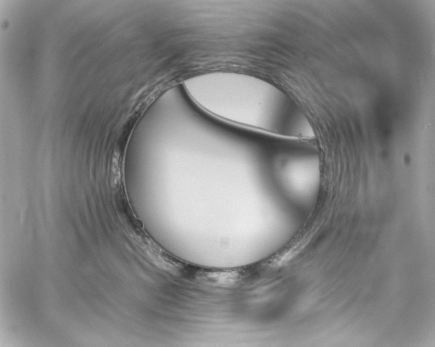 X0000060250478200510281149