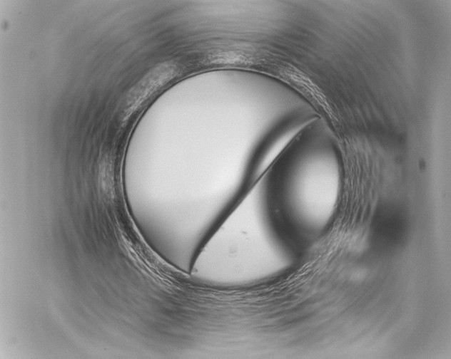 X0000060250482200510281148