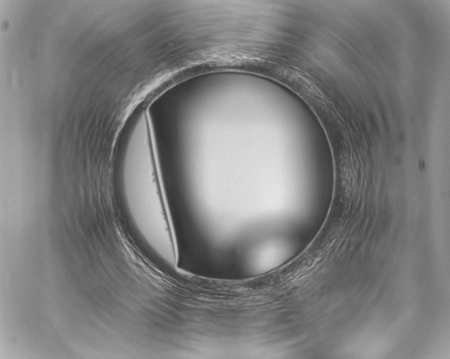 X0000060250488200510281148