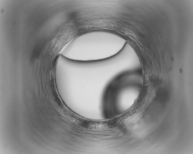 X0000060250503200510281148