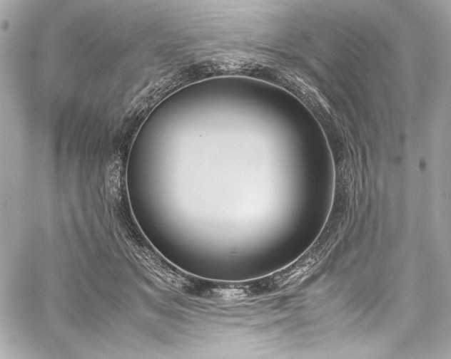 X0000060250509200510281148