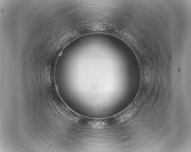 X0000060250512200510281148