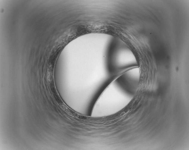 X0000060250515200510281148