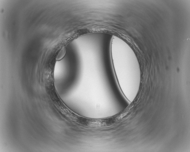 X0000060250521200510281147