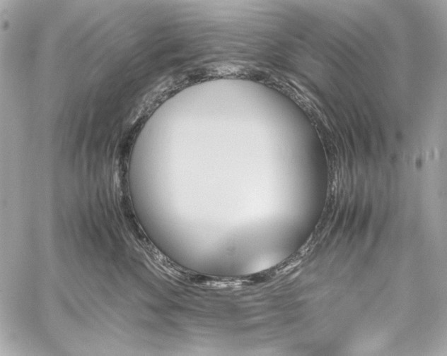 X0000060250524200510281147