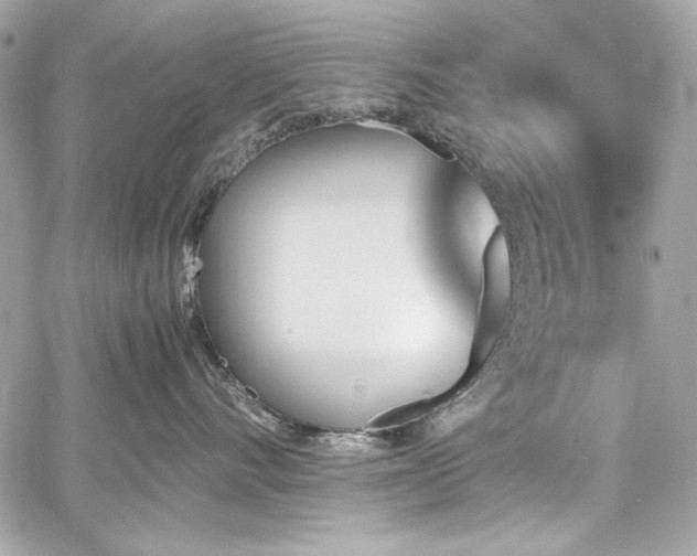 X0000060250528200510281147