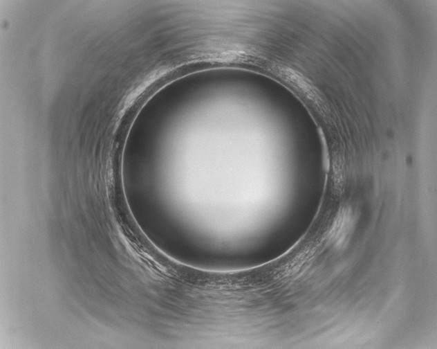X0000060250532200510281147