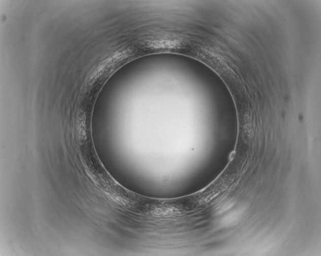 X0000060250547200510281147