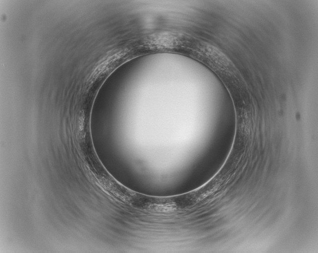 X0000060250548200510281147