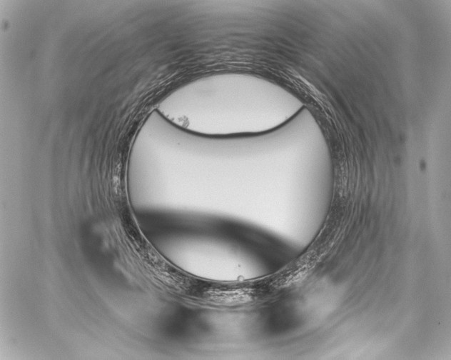 X0000060250553200510281147