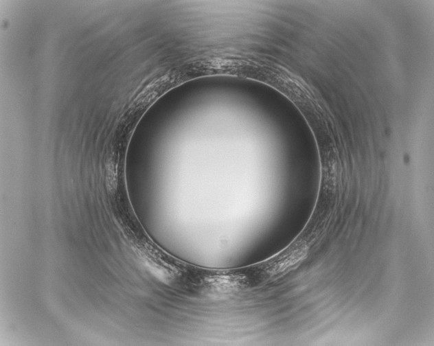 X0000060250558200510281147