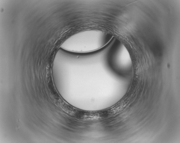 X0000060250559200510281147