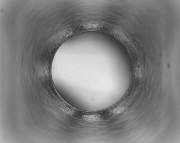 X0000060250561200510281147