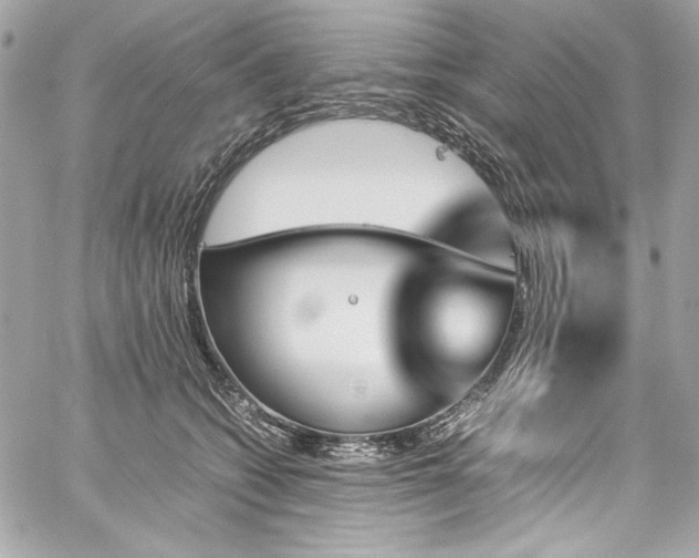 X0000060250562200510281147
