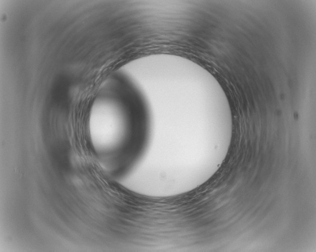 X0000060250570200510281147