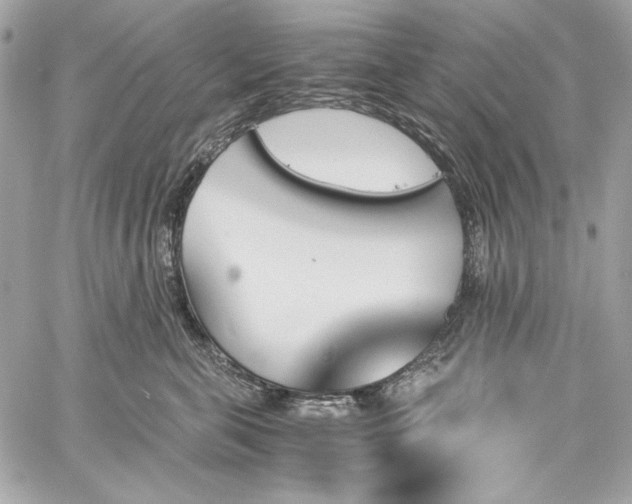 X0000060250571200510281147