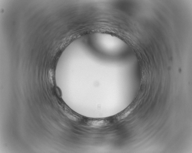 X0000060250575200510281147