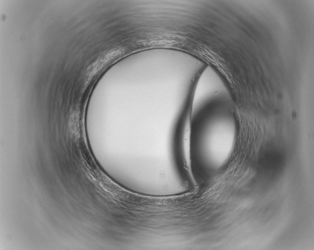 X0000060250578200510281147
