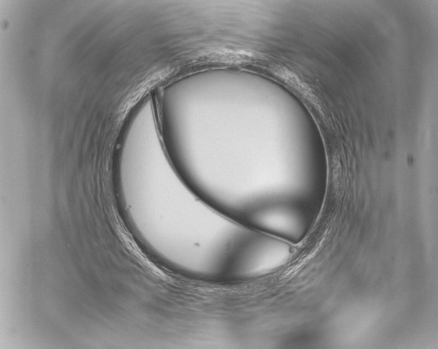 X0000060250581200510281146