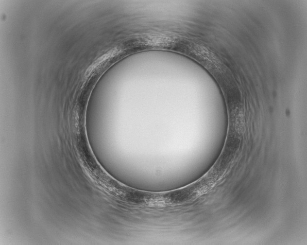 X0000060250587200510281146