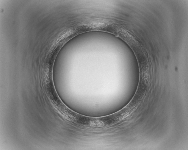 X0000060250591200510281146