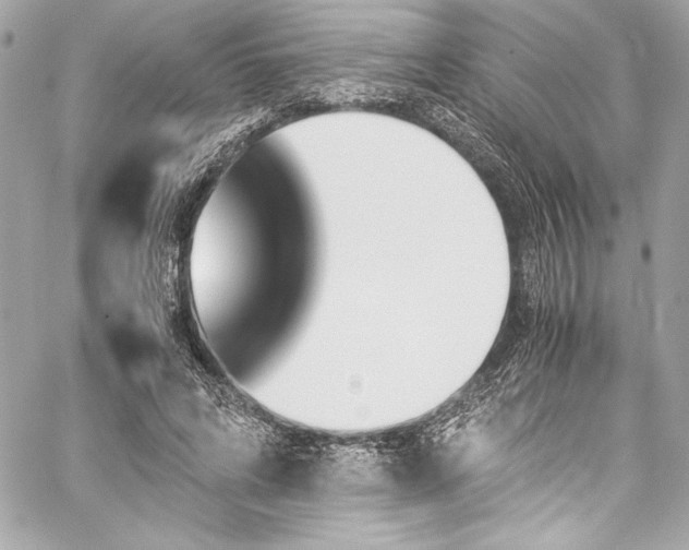 X0000060250592200510281146
