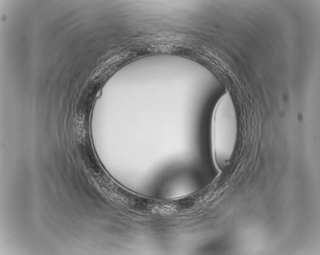 X0000060250599200510281146