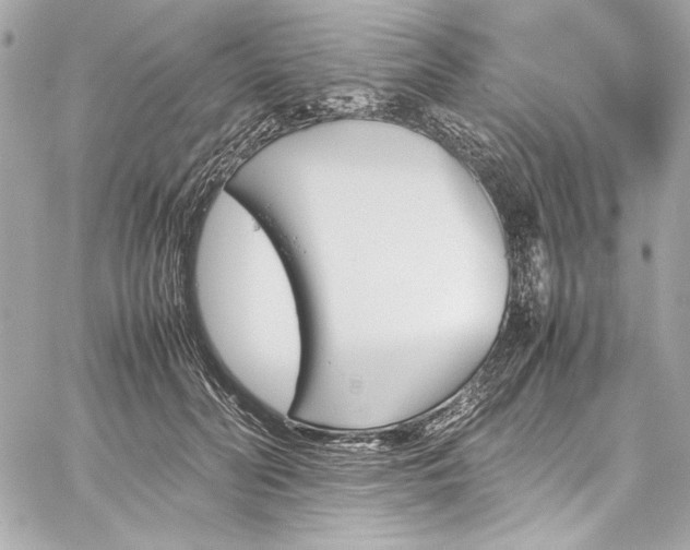 X0000060250606200510281146