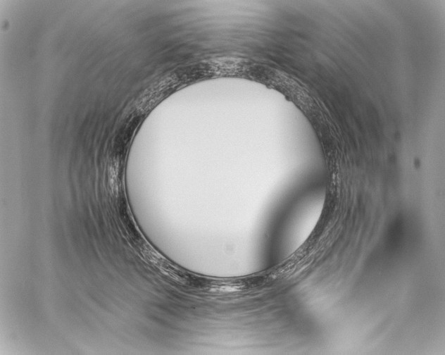 X0000060250610200510281146