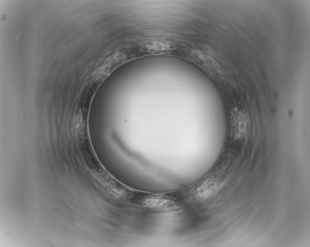 X0000060250614200510281146