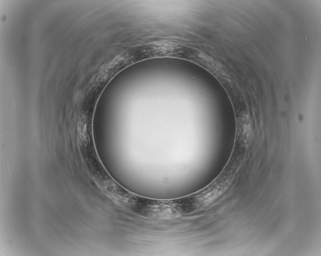X0000060250615200510281146