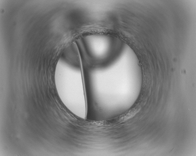 X0000060250624200510281146